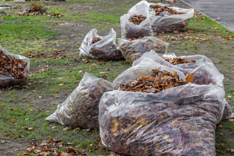 Bagging and Disposal of Leaves