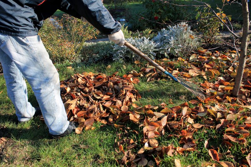 Leaf Raking Service detail