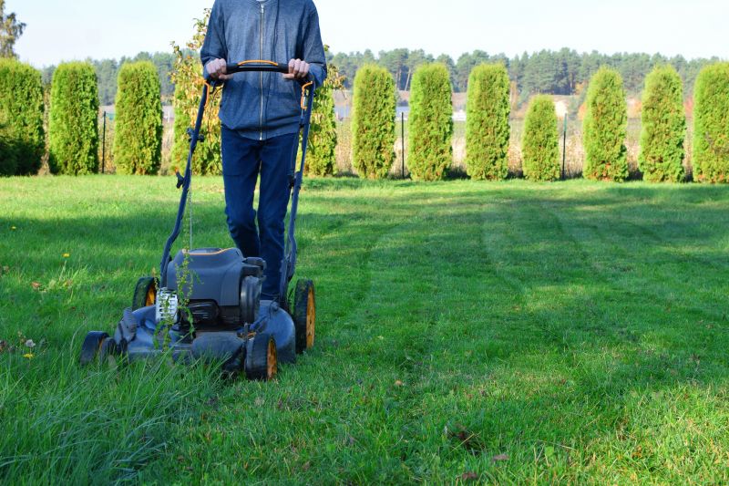 Summer Lawn Maintenance
