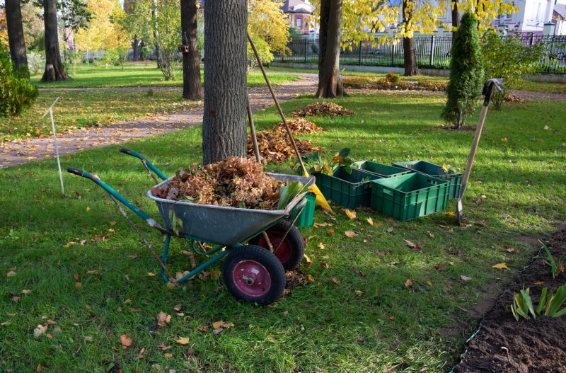 Leaf Clearing Service
