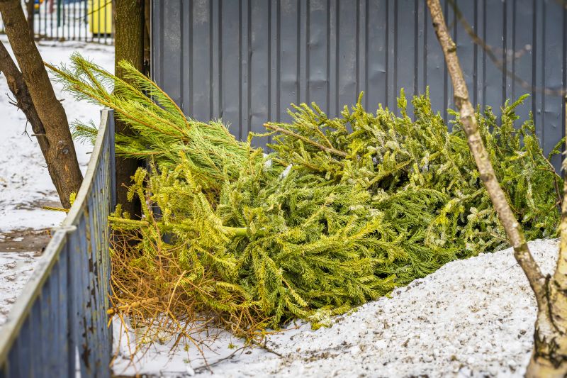 Pine Needles Removal