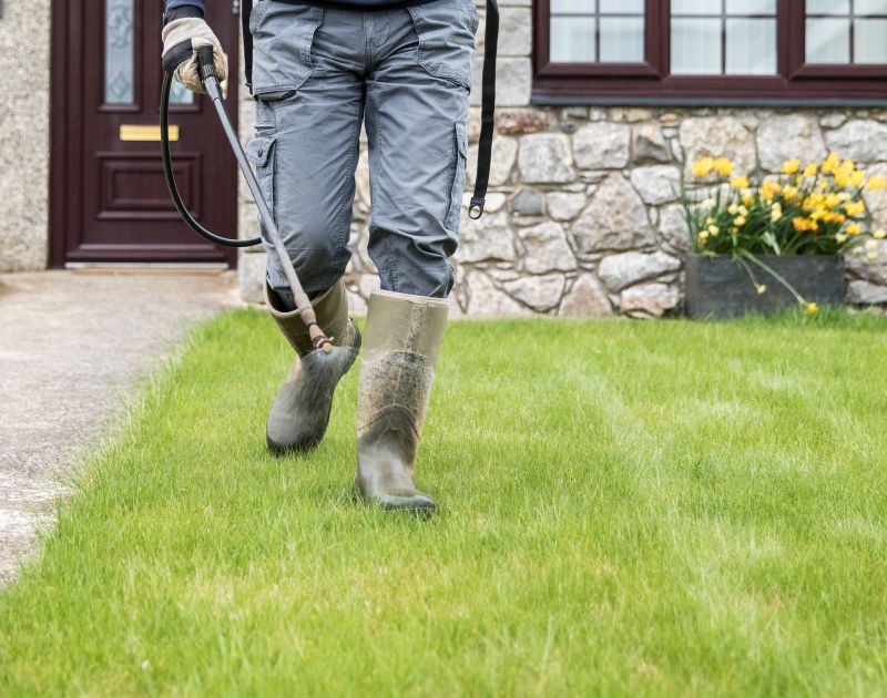 Professional Lawn Clean Up