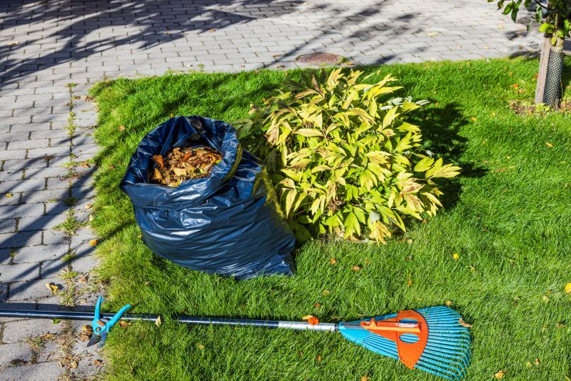 Why Fall And Spring Are The Best Times For Lawn Clean Up