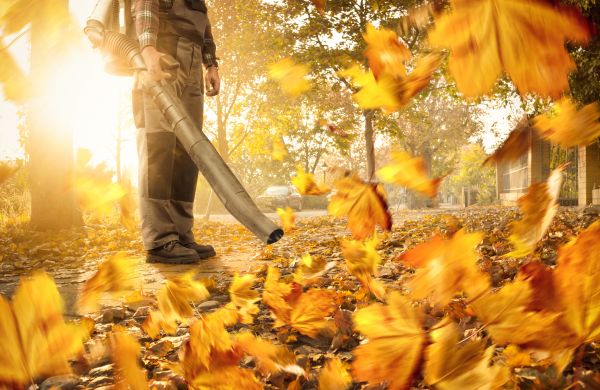 Cost of Leaf Blowing Service in Brownsburg