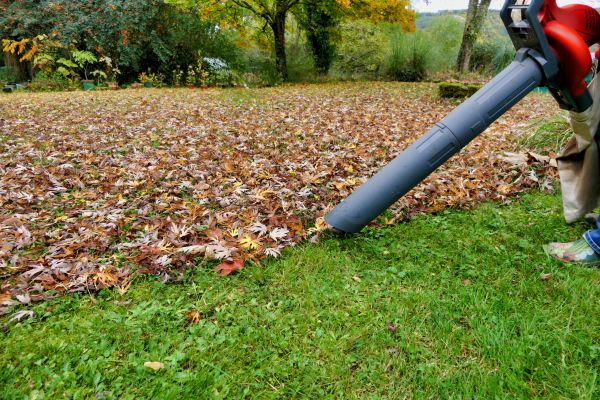 Cost of Leaf Vacuuming Service in Brownsburg