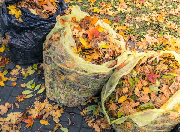 Cost of Yard Cleanup Service in Brownsburg