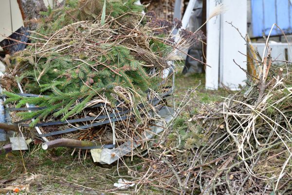 Cost of Yard Debris Removal in Brownsburg