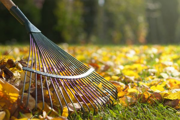 Cost of Leaf Raking Service in Brownsburg
