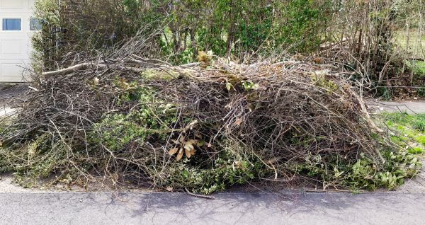Cost of Tree Limb Cleanup in Brownsburg