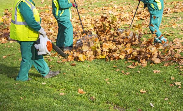 Cost of Leaf Maintenance in Brownsburg