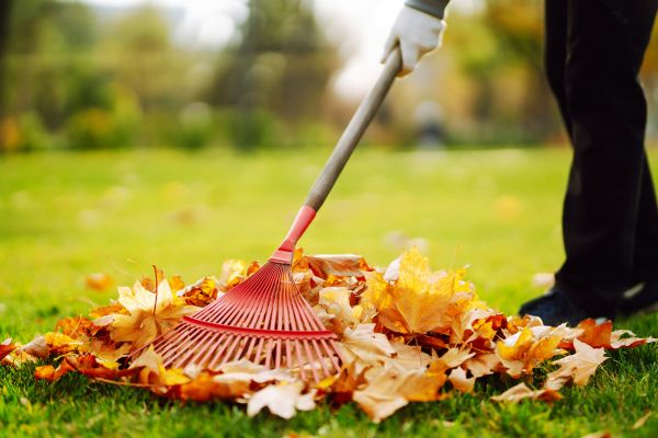 Cost of Ditch Leaf Removal in Brownsburg