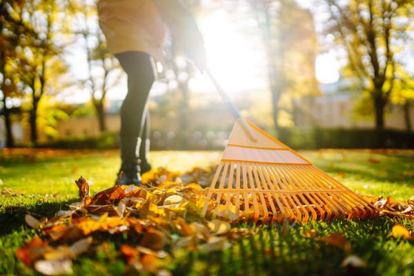Cost of Leaves Raking in Brownsburg