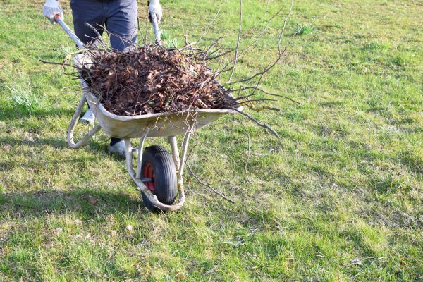 Cost of Yard Brush Removal in Brownsburg