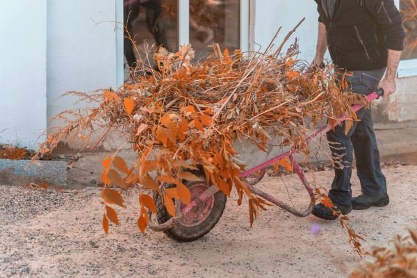 Cost of Lawn Debris Cleanup in Brownsburg