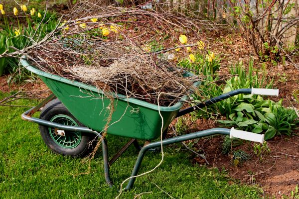 Cost of Lawn Waste Removal in Brownsburg