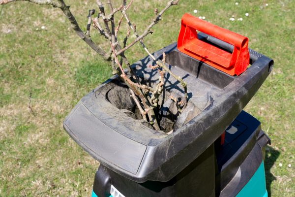 Cost of Brush Cleanup Service in Brownsburg