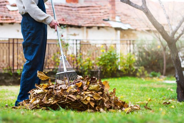 Cost of Fall Yard Cleanup Service in Brownsburg