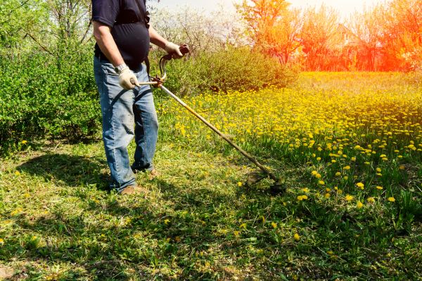 Cost of Yard Clearing Service in Brownsburg