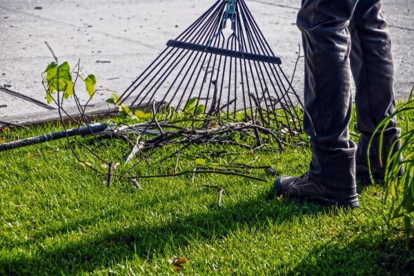 Cost of Yard Debris Cleanup in Brownsburg