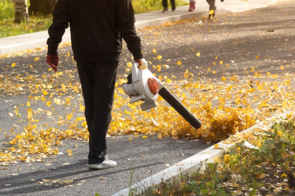 Cost of Commercial Leaf Removal in Brownsburg
